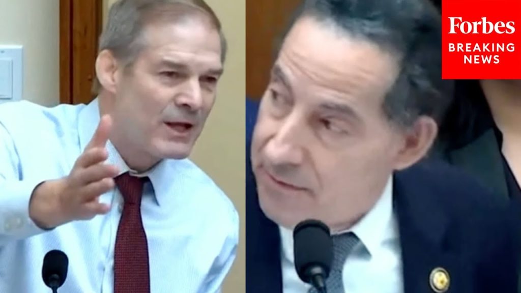 77 Million Americans Don’t Believe What They Heard From Mr. Raskin & The Democrat Witness’: Jordan